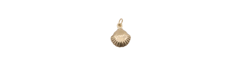 Seashell