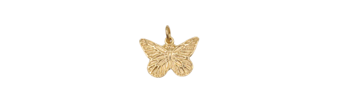 Detailed Butterfly