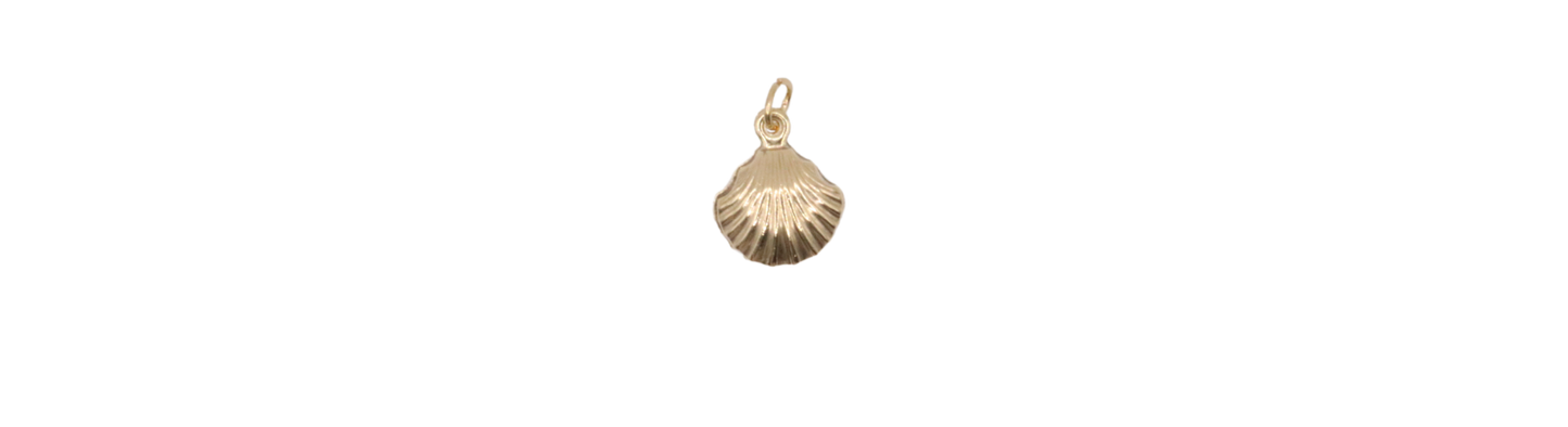 Seashell