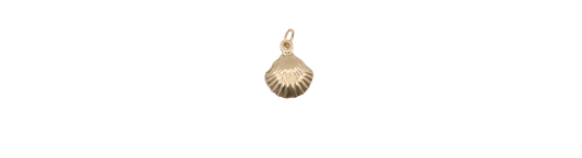 Seashell