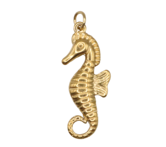 Seahorse