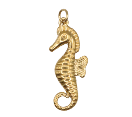 Seahorse