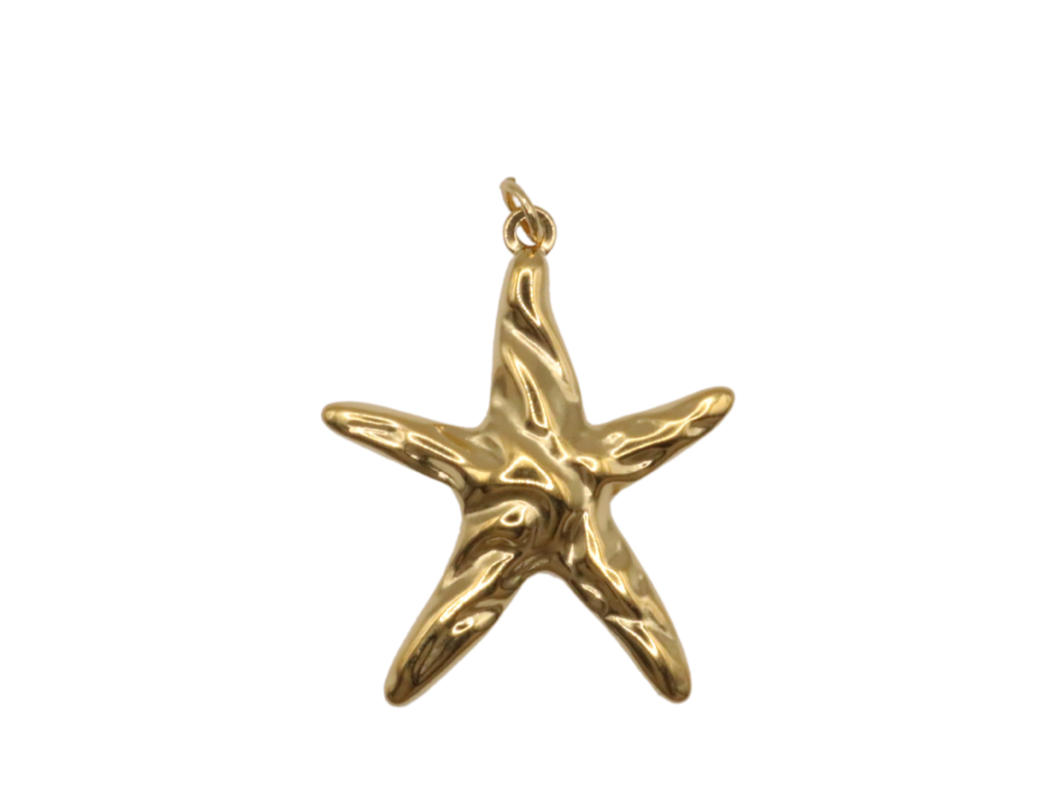 Reflective Starfish