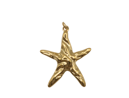 Reflective Starfish